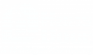 HaasDoor-Logo-White